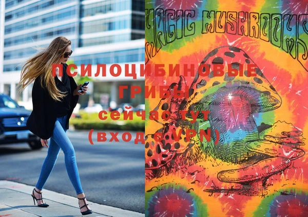 молекула духа Новокубанск